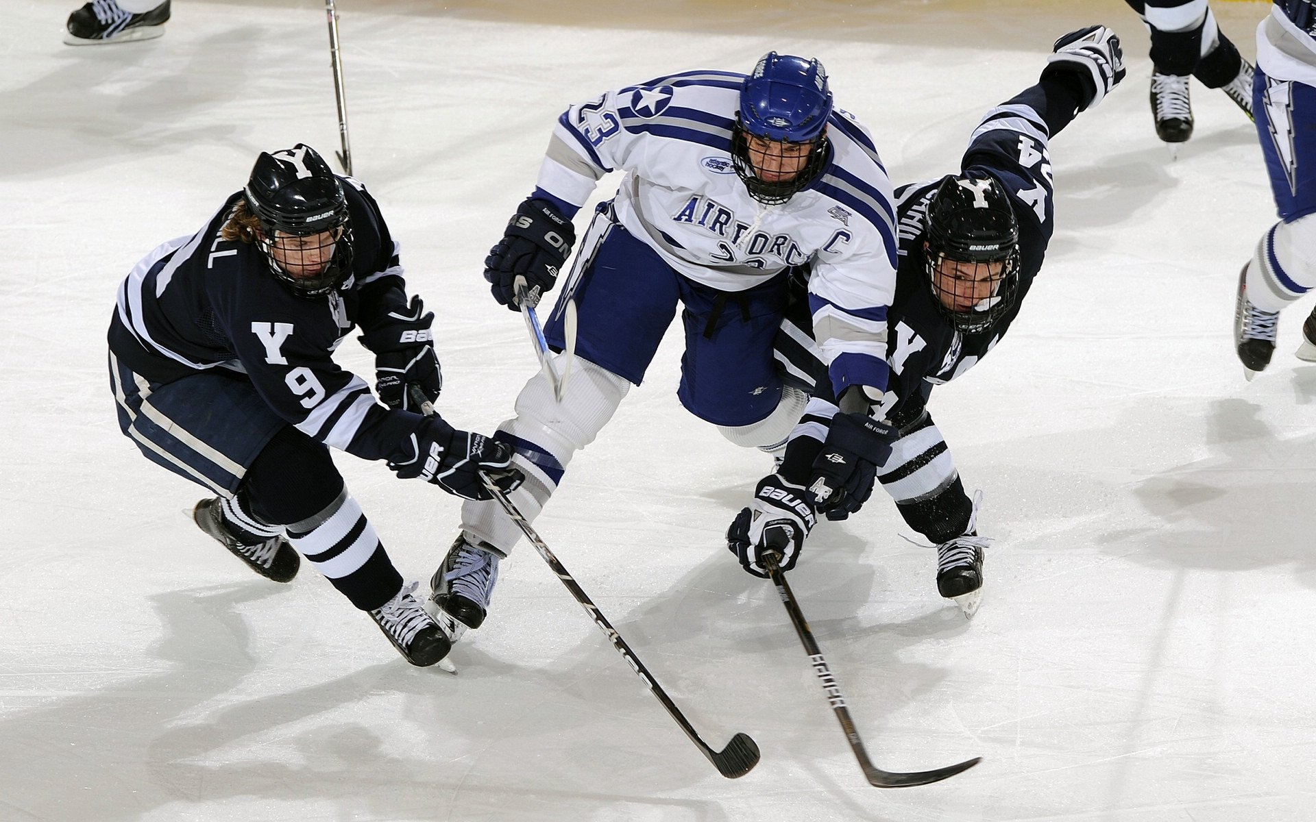 体育社交平台发展迅速